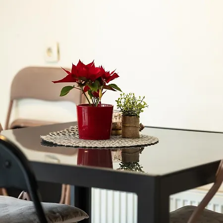 Apartman Great For Couples Or Small Families Ljubljana