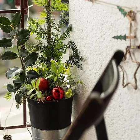 Great For Couples Or Small Families