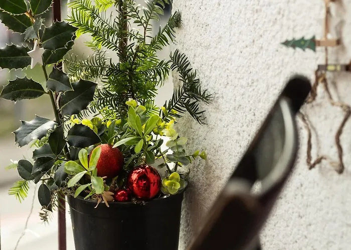 Great For Couples Or Small Families